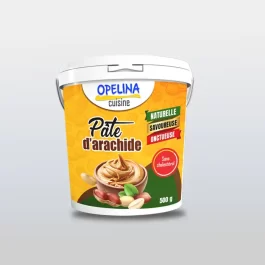 PATE ARACHIDE 500G