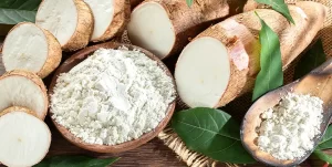 Lire la suite à propos de l’article Les bienfaits du tapioca pour le bébé