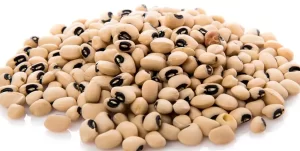 Lire la suite à propos de l’article Les bienfaits des haricots secs pour le bébé