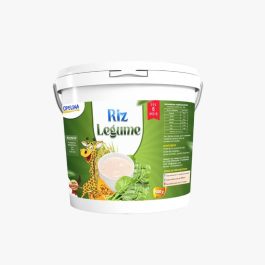 RIZ LÉGUMES